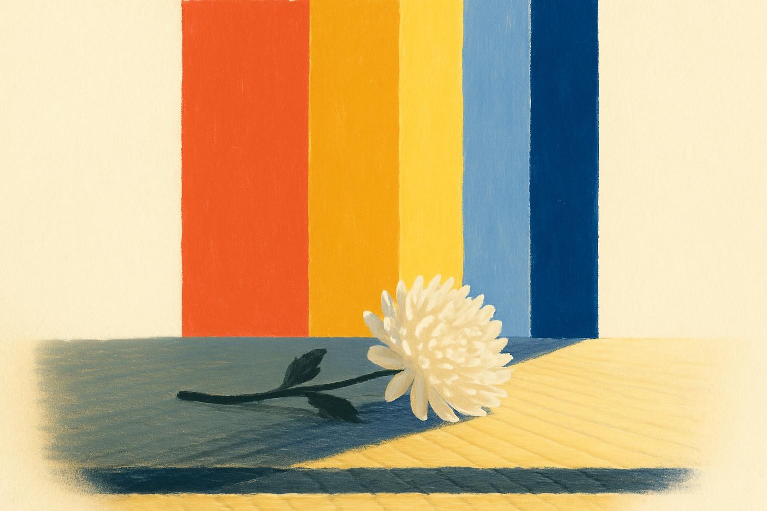 A white chrysanthemum on a tatami mat, lit by a narrow beam of light.